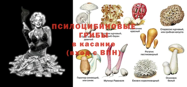 прущие крисы Кукмор