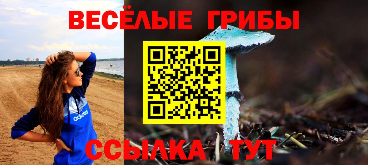 Псилоцибиновые грибы Cubensis  Галлюциногенные грибы мухоморы  Каменск-Уральский 