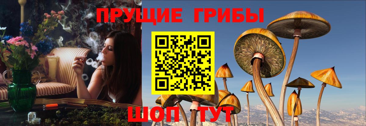 Каменск-Уральский  Галлюциногенные грибы MAGIC MUSHROOMS  Вход с VPN  Галлюциногенные грибы прущие грибы 